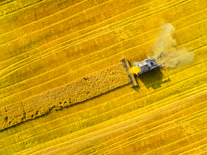 Landwirtschaft