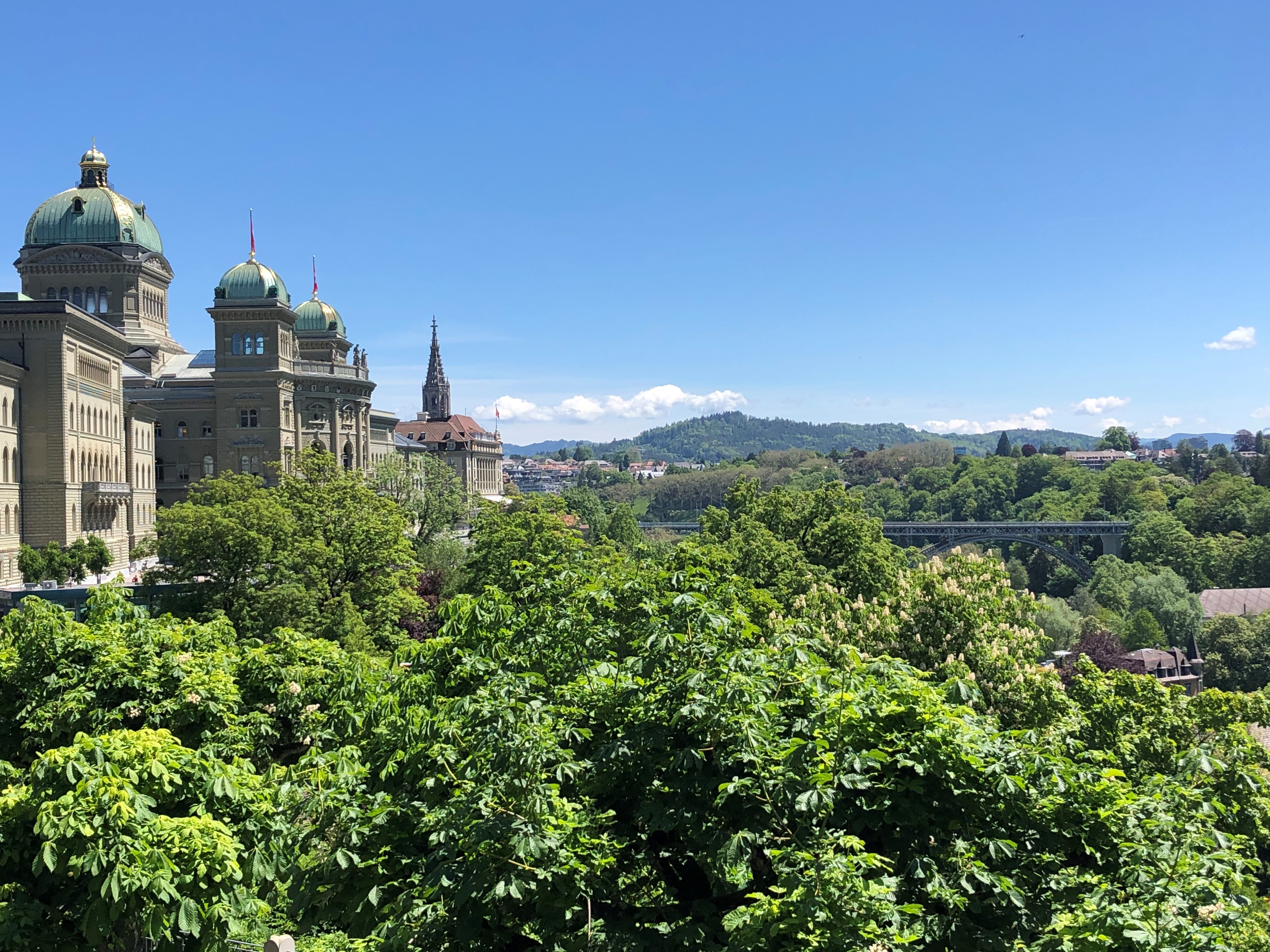 Bundeshaus Sommer