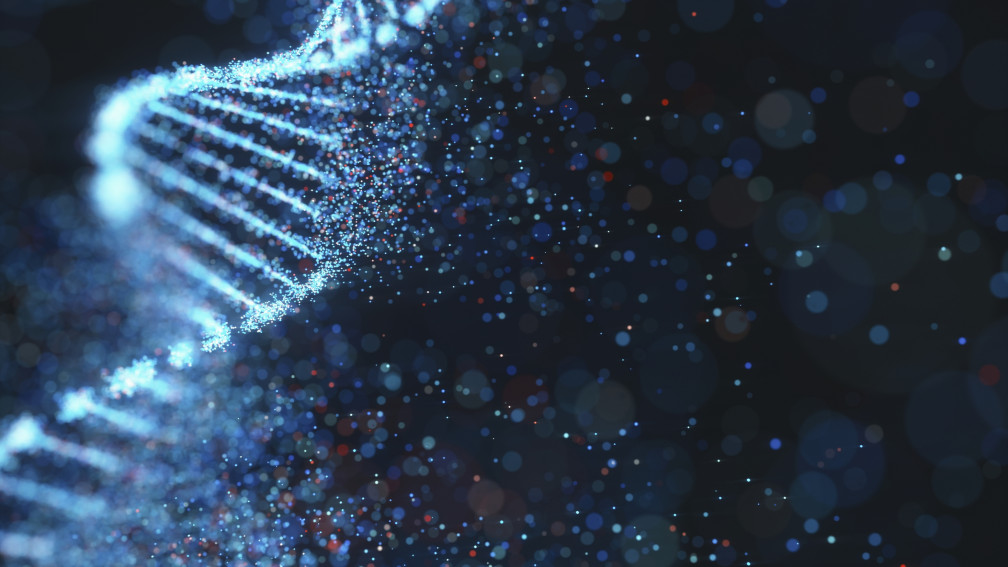 DNA-Strang
