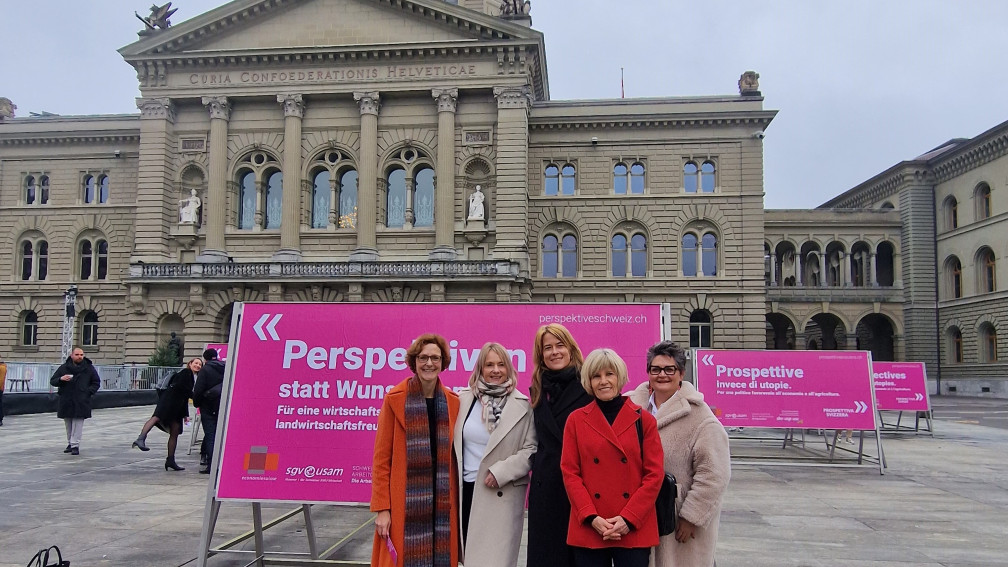 Perspektive Schweiz
