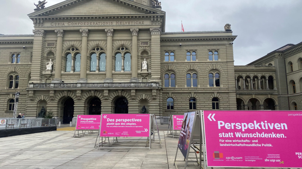 Perspektive Schweiz