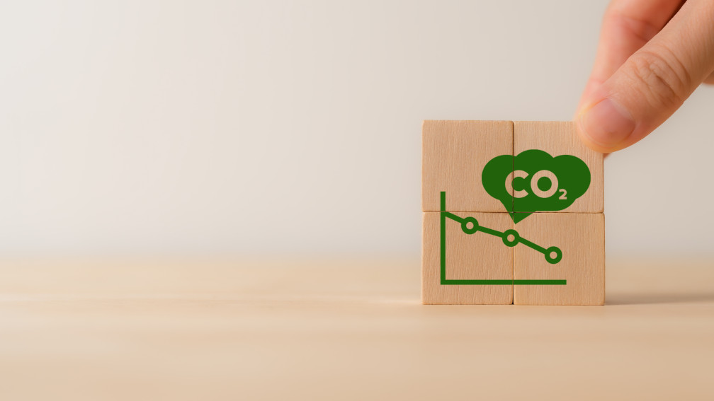CO2 senken