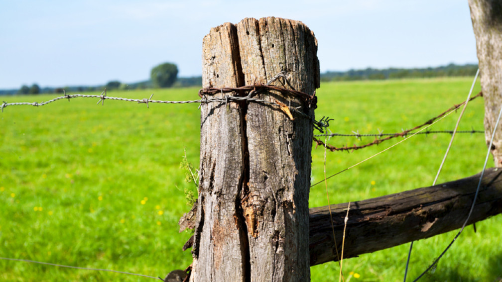 Zaun Landwirtschaft 