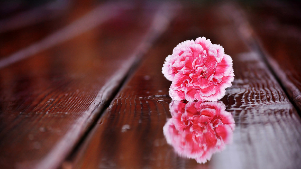 Blume