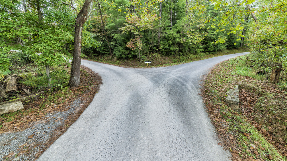 sich verzweigender Weg im Wald