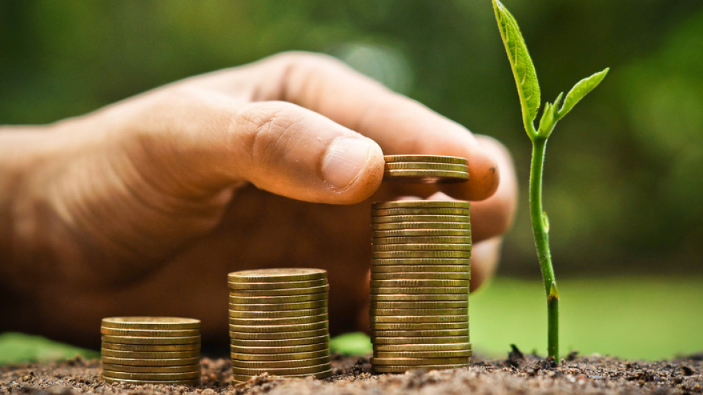 economica verde