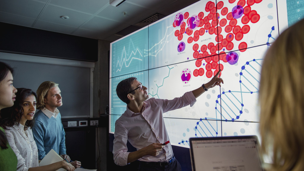 Projektion von Statistiken und Personen, die darüber sprechen 