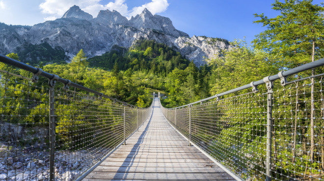 Lange Brücke, die in einen grünen Wald führt. 