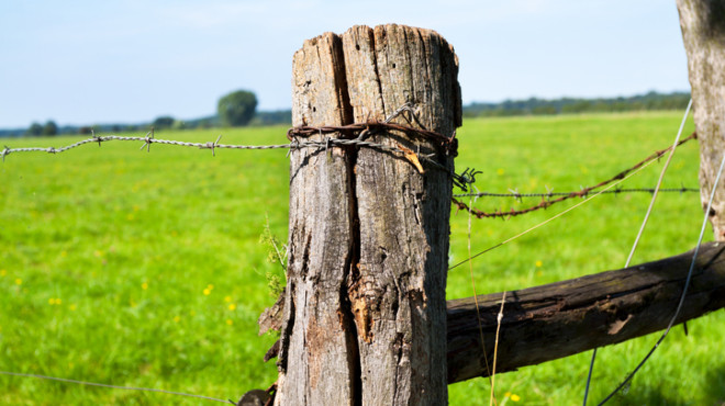 Zaun Landwirtschaft 