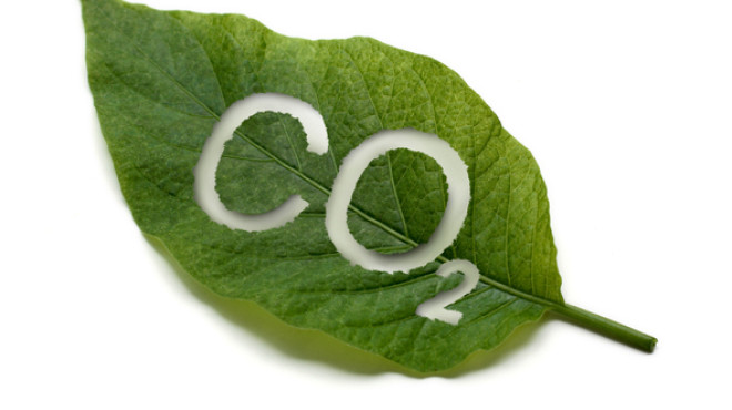 CO2