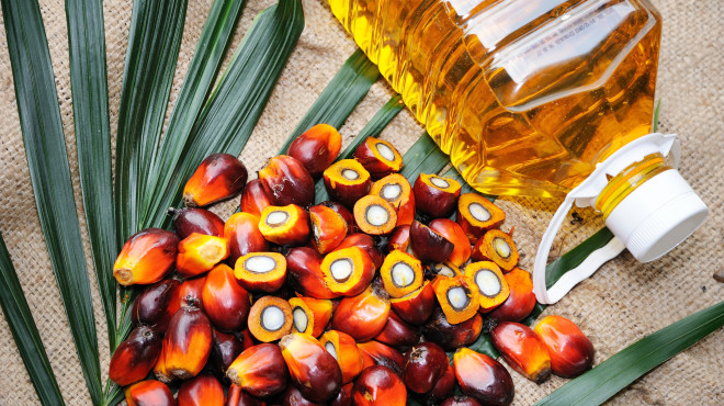 Palmöl