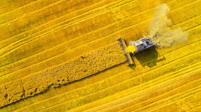 Landwirtschaft