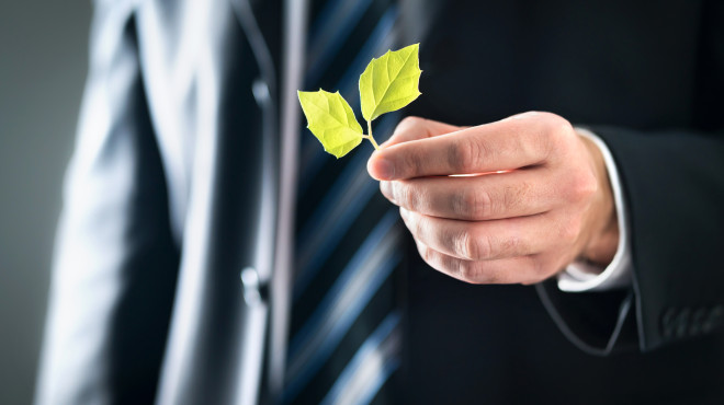 Politiker hält das Blatt einer Pflanze in der Hand