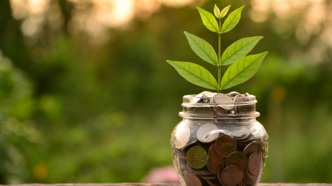 Pflanze steht in Glas voller Geld
