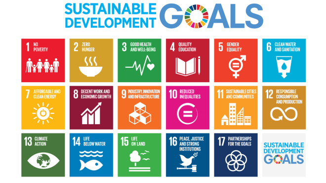 Objectifs de développement durable