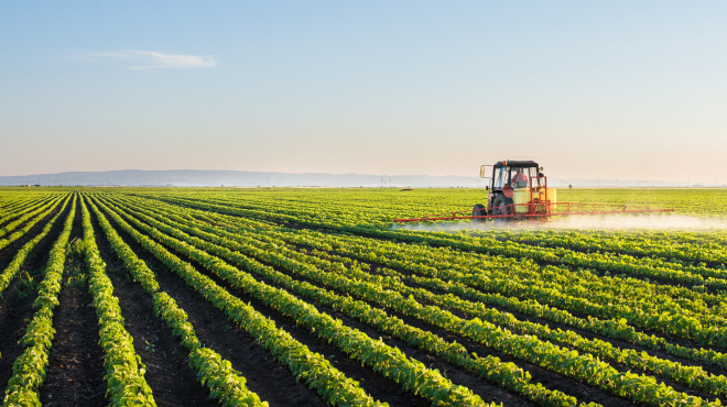 Agriculture