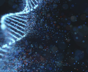 DNA-Strang