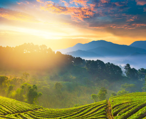Indonesien