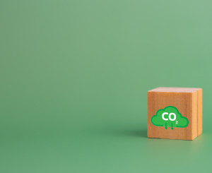 cubetto di legno su sfondo verde erba con nuvoletta disegnata che dice CO2