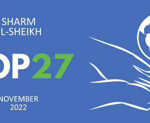 COP27 in Sharm El-Sheikh