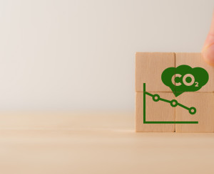 CO2 senken
