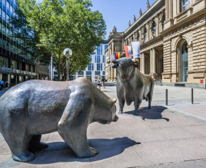 Bär und Bulle
