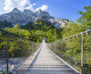 Lange Brücke, die in einen grünen Wald führt. 
