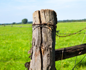 Zaun Landwirtschaft 