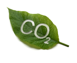 CO2