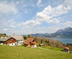 Ferme 
