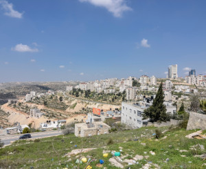 Palestine