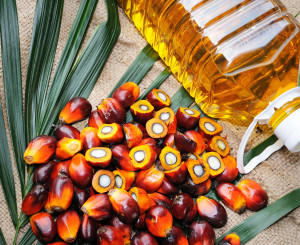 Palmöl