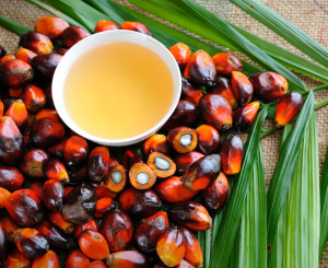 Palmöl
