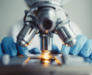 researcher