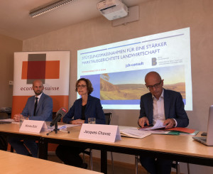 Medienkonferenz
