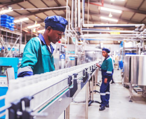 Arbeiter überprüfen Milchflaschen in einem afrikanischen Molkereibetrieb