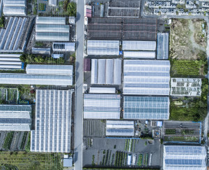 Gewächshäuser mit Solarpanels