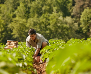 Landwirtschaft Bauer Gemüse