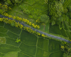 Strasse in Indonesien