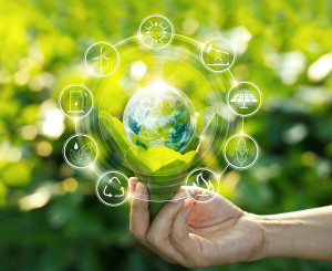 Sustainability