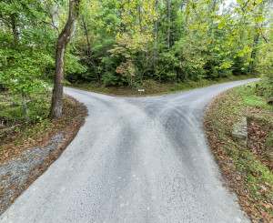 sich verzweigender Weg im Wald