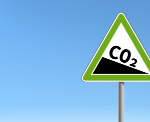 Grünes Strassenschild das Absenkung von CO2 signalisiert