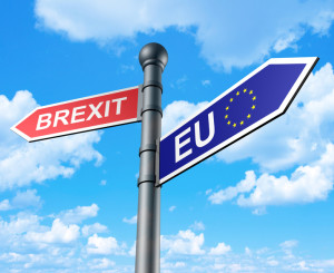 Wegweiser Brexit und EU