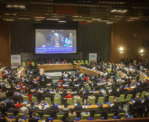 High Level Political Forum 